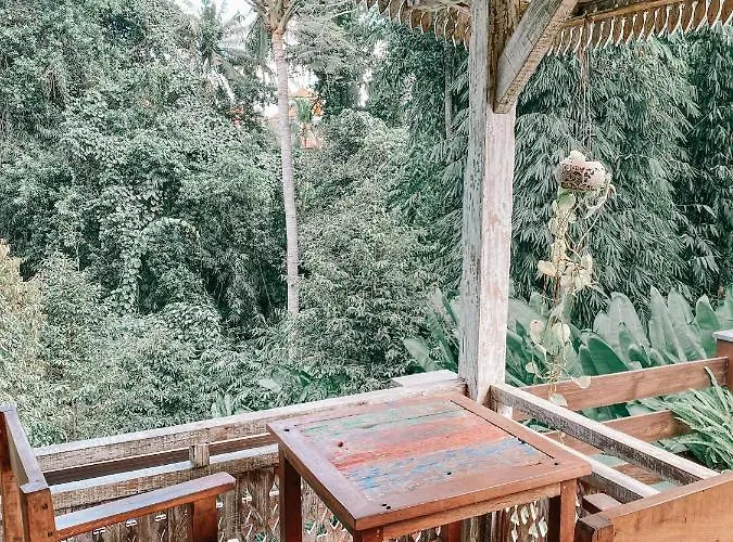 Umah Kayu Gasthuis 3*